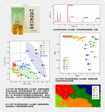 ChemPattern™对5个不同厂家60批次灯盏花素注射液样本的色谱指纹图谱及有关物质的化学计量学分析