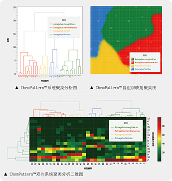 由上至下，由左至右：1、ChemPattern®系统聚类分析图；2、ChemPattern®自组织映射聚类图；3、ChemPattern®双向系统聚类分析二维图