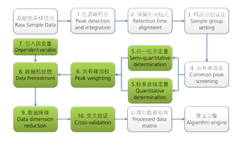 ChemPattern®中柱色谱法的化学计量学数据预处理流程示意图