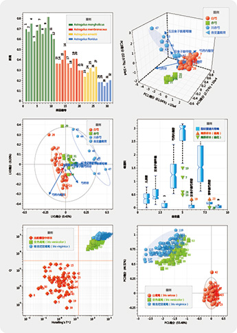 From top to bottom, left to right: 1, similarity analysis histogram; 2, 3D scatter plot of PCA score and loadings; 3, PLS-DA score and loadings plot; 4, box-plot statistical chart; 5, log plot of SIMCA determination boundary; 6, SIMCA sub-model projection plot